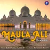 About Maula Ali Qawwali Song